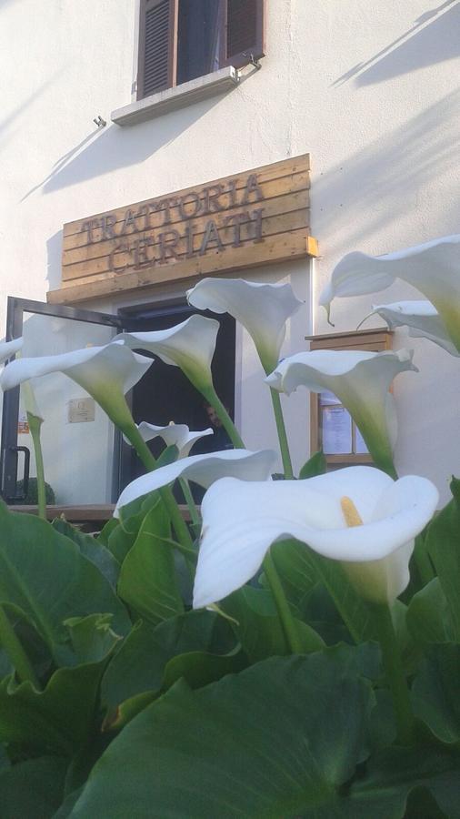 Trattoria Ceriati Room & Breakfast Salsomaggiore Terme Ngoại thất bức ảnh